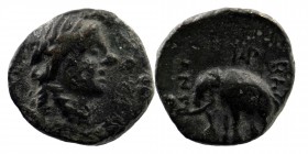 Seleukid Kingdom. Antiochos III. 223-187 B.C. AE 
Laureate head of Apollo right
Rev: elephant walking left
Spaer 615-617; Cf. SC 980
1,25 gr. 13 mm