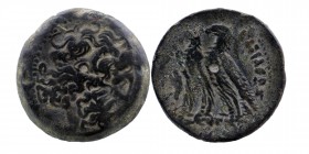 Ptolemaic Kingdom. Ptolemy VI Philometor & VIII Euergetes 170-164 B.C. AE 
Cyprus Mint
Laureate head of Zeus Ammon right 
Rev: Two eagles standing lef...