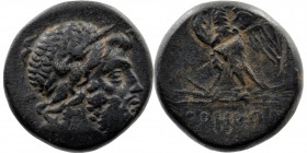Paphlagonia, Sinope. Under Mithridates VI. Ca. 120-63 B.C. AE 
Laureate head of bearded Zeus right 
Rev: ethnic beneath eagle standing left, wings ope...