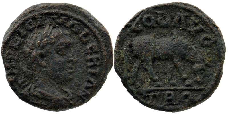 TROAS. Alexandria. Severus Alexander (222-235). Ae.
Laureate head right.
Rev; Ho...