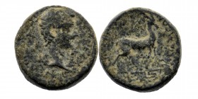 Phrygia. Apameia . Germanicus AD 37-41. AE
bare head right 
Rev: stag standing right on maeander pattern.
RPC I 3134.
3,36 gr. 15 mm