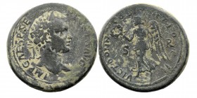 Pisidia. Antiochia. Geta (209-212 AD) AE 
Obv: laureate head right.
Rev: Victory advancing left, holding wreath and palm branch; in field, S - R. 
Krz...