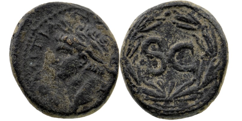 SYRIA. Seleucis and Pieria. Antioch. Domitian (81-96). Ae.
Laureate head left....