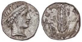 GREEK COINS
Estátera. 330-300 a.C. LUCANIA. METAPONTION. Anv.: Cabeza de Deméter a izquierda. Rev.: Espiga vertical, leyenda a derecha. 7,55 grs. AR....