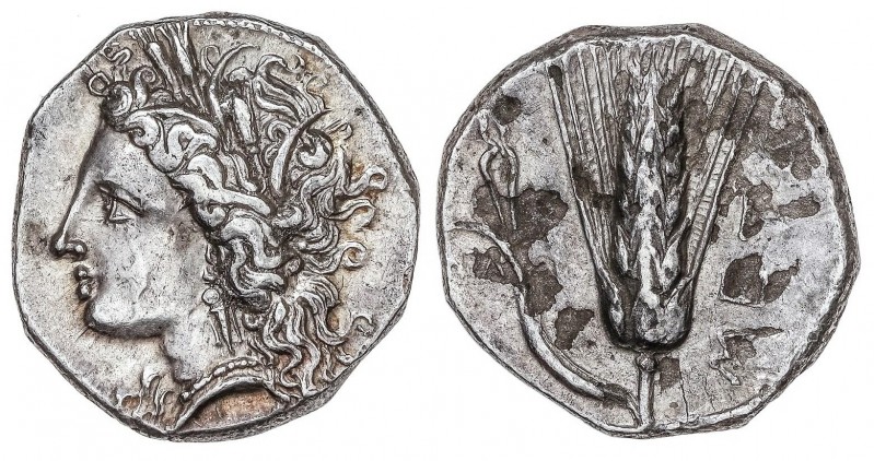 GREEK COINS
Estátera. 330-300 a.C. LUCANIA. METAPONTION. Anv.: Cabeza de Deméte...