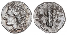 GREEK COINS
Estátera. 330-300 a.C. LUCANIA. METAPONTION. Anv.: Cabeza de Deméter a derecha. Rev.: Espiga vertical, leyenda a izquierda. 7,22 grs. AR....