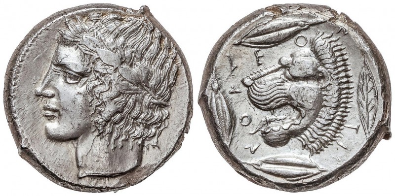 GREEK COINS
Tetradracma. 466-422 a.C. LEONTINI. SICILIA. Anv.: Cabeza de Apolo ...