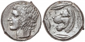 GREEK COINS
Tetradracma. 466-422 a.C. LEONTINI. SICILIA. Anv.: Cabeza de Apolo laureado a izquierda. Rev.: LEONTINON. Cabeza de león a izquierda, alr...
