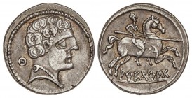 CELTIBERIAN COINS
Denario. 150-20 a.C. ARECORATA (ÁGREDA, Soria). Anv.: Cabeza imberbe a derecha con adorno en el cuello, detrás dos círculos concént...
