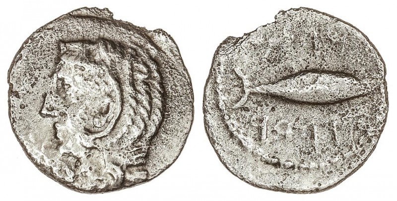 CELTIBERIAN COINS
Hemidracma. 200-100 a.C. GADES (CÁDIZ). Anv.: Cabeza de Hércu...