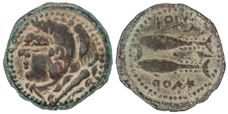 CELTIBERIAN COINS
As. 100-20 a.C. GADES (CÁDIZ). Anv.: Cabeza de Hércules con p...