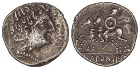 CELTIBERIAN COINS
Denario. 120-20 a.C. ICALCUNSCEN (INIESTA, Cuenca). Anv.: Cabeza imberbe a derecha. Rev.: Jinete con escudo y clámide a izquierda c...