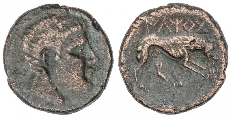 CELTIBERIAN COINS
As. 220-200 a.C. ILTIRTA (LLEIDA). Anv.: Cabeza masculina a d...
