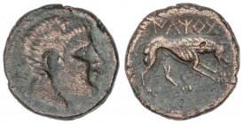 CELTIBERIAN COINS
As. 220-200 a.C. ILTIRTA (LLEIDA). Anv.: Cabeza masculina a derecha. Rev.: Lobo saltando a derecha, encima leyenda ibérica. 8,03 gr...