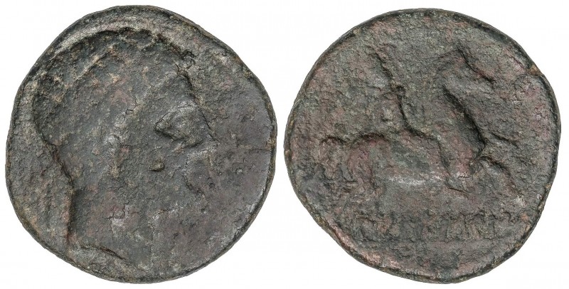 CELTIBERIAN COINS
As. 120-20 a.C. LAIESCEN (BARCELONA). Anv.: Cabeza masculina ...