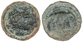 CELTIBERIAN COINS
Semis. 150-50 a.C. LASCUTA (ALCALÁ DE LOS GAZULES, Cádiz). Anv.: Cabeza masculina a derecha. Rev.: Elefante a derecha, debajo leyen...