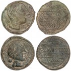 CELTIBERIAN COINS
Lote 2 monedas As. 220-20 a.C. OBULCO (PORCUNA, Jaén). AE. A EXAMINAR. AB-1783, 1789. MBC a MBC+.