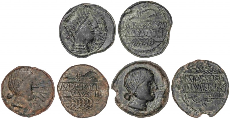 CELTIBERIAN COINS
Lote 3 monedas As. 220-20 a.C. OBULCO (PORCUNA, Jaén). Anv.: ...