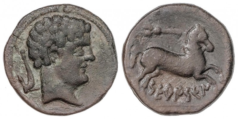CELTIBERIAN COINS
Semis. 120-20 a.C. SETEISCEN (SÁSTAGO, Zaragoza). Anv.: Cabez...