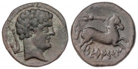 CELTIBERIAN COINS
Semis. 120-20 a.C. SETEISCEN (SÁSTAGO, Zaragoza). Anv.: Cabeza masculina a derecha, detrás arado. Rev.: Caballo a derecha, encima c...
