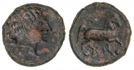 CELTIBERIAN COINS
Semis. 120-20 a.C. CESE (TARRAGONA). Anv.: Cabeza masculina a derecha, detrás proa de nave. Rev.: Caballo a derecha, debajo leyenda...