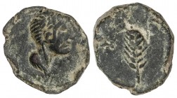 CELTIBERIAN COINS
Lote 2 monedas 1/2 Calco y Semis. CARMO y GADES. AE. A EXAMINAR. AB-459, 1333. MBC+.