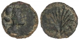 CELTIBERIAN COINS
Lote 2 monedas Semis. LAELIA y SEARO. AE. A EXAMINAR. AB-1651, 2115. MBC a MBC+.