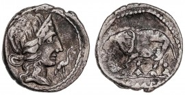 ROMAN COINS: ROMAN REPUBLIC
Denario. 81 a.C. CAECILIA. Q. Caecillius Metellus Pius. Anv.: Cabeza diademada de la Piedad, delante cigüeña. 3,65 grs. A...