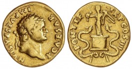 ROMAN COINS: ROMAN EMPIRE
Áureo. Acuñada el 75 d.C. TITO. Anv.: T. CAESAR IMP. VESPASIAN. Busto laureado a derecha. Rev.: PONTIF. TR. P. COS. IIII. V...