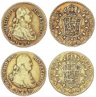 SPANISH MONARCHY: CHARLES IV
Charles IV
Lote 2 monedas 1 Escudo. 1791 y 1793. MADRID. M.F. Cal-490-492. MBC y MBC-.