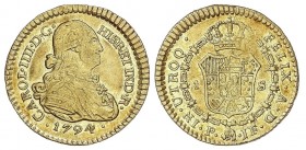SPANISH MONARCHY: CHARLES IV
Charles IV
1 Escudo. 1794. POPAYÁN. J.F. 3,36 grs. Restos de brillo original. Cal-525. EBC-.