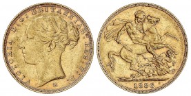 WORLD COINS: AUSTRALIA
Australia
Soberano. 1886-M. VICTORIA. MELBOURNE. 7,97 grs. AU. Fr-15; KM-7. MBC+.