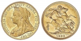 WORLD COINS: AUSTRALIA
Australia
Soberano. 1899-M. MELBOURNE. 7,97 grs. (Leves golpecitos en anverso). Restos de brillo original. Fr-24; KM-13. EBC-...