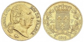 WORLD COINS: FRANCE
France
20 Francos. 1819-W. LUIS XVIII. LILLE. 6,43 grs. AU. (Rayitas de ajuste en anverso). Fr-539; KM-712.9. MBC+.