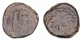 Judea
Coponio
Prutah. AE. (6-9 d.C.). Acuñaciones de los Procuradores Romanos. 2.40g. Hending 635. BC+.