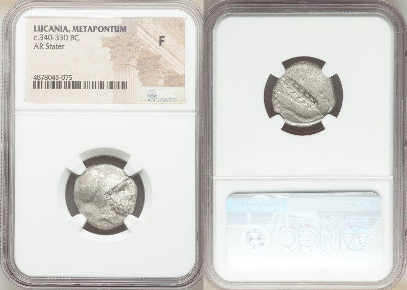 LUCANIA. Metapontum. Ca. 340-330 BC. AR stater (19mm, 5h). NGC Fine. Ap- and Ami...