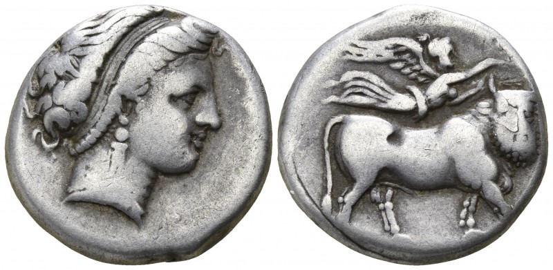 Campania. Neapolis 300-275 BC.
Nomos AR

18mm., 7,44g.

Diademed head of ny...