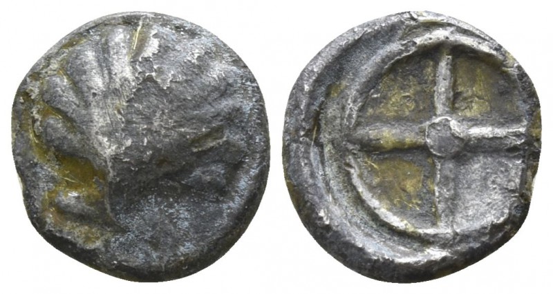 Calabria. Tarentum 480-470 BC.
Litra AR

8mm., 0,63g.

Cockle shell / Wheel...