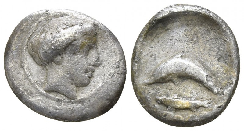 Calabria. Tarentum 380-325 BC.
Litra AR

11mm., 0,68g.

Head of Satyra righ...