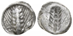 Lucania. Metapontion 540-510 BC. Obol AR