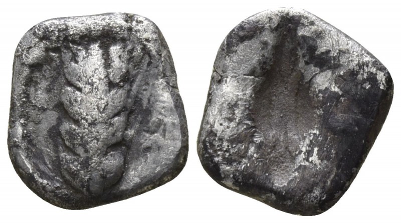 Lucania. Metapontion 470-440 BC.
Diobol AR

9mm., 0,98g.

Barley-ear with f...