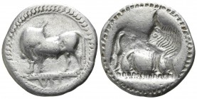 Lucania. Sybaris circa 530-510 BC. Drachm AR