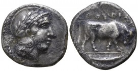 Lucania. Thurii 443-400 BC. Nomos AR