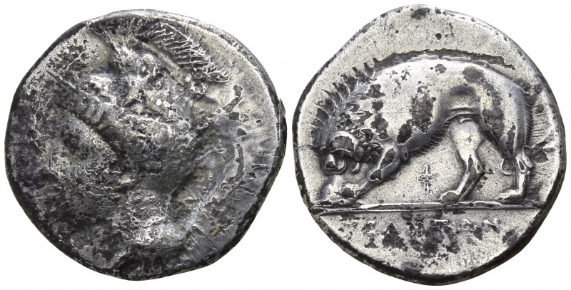 Lucania. Velia 334-300 BC.
Didrachm AR

20mm., 7,11g.

Head of Athena left,...