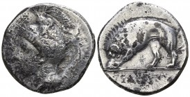 Lucania. Velia 334-300 BC. Didrachm AR