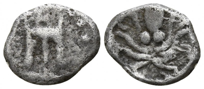 Bruttium. Kroton circa 470-440 BC.
Obol AR

7mm., 0,44g.

Tripod / Octopus....