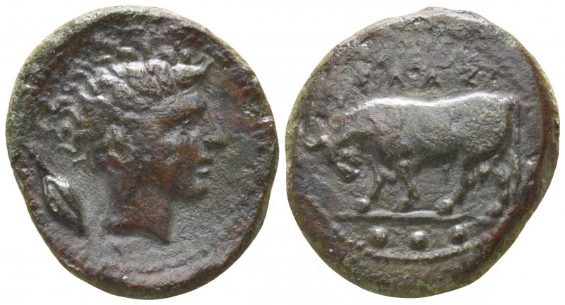 Sicily. Gela circa 420-405 BC.
Tetras AE

4,48mm., 18g.

Head of youthful m...