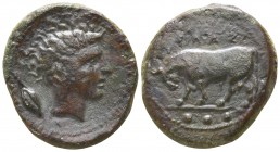 Sicily. Gela circa 420-405 BC. Tetras AE