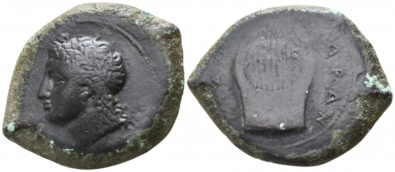 Sicily. Hadranon 375-350 BC.
Hemidrachm AE

28mm., 16,09g.

Laureate head o...