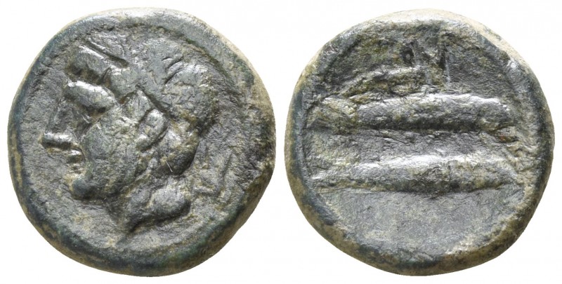 Sicily. Leontinoi 212-200 BC.
Bronze Æ

12mm., 2,01g.

Laureate head of Apo...